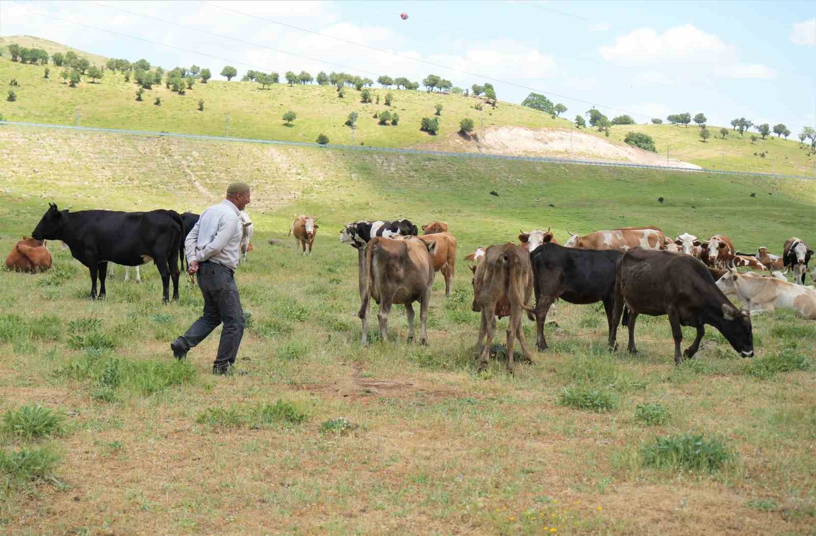 Muş&rsquo;ta &ccedil;oban krizi
