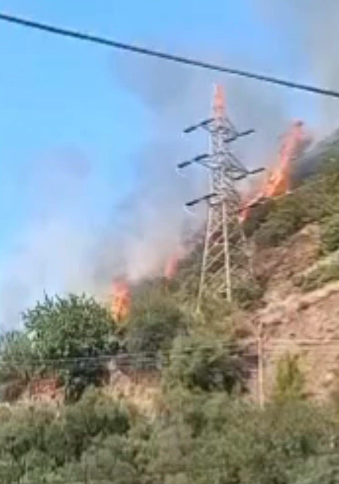 Hatay&rsquo;da ormanlık alanda &ccedil;ıkan yangın s&ouml;nd&uuml;r&uuml;ld&uuml;
