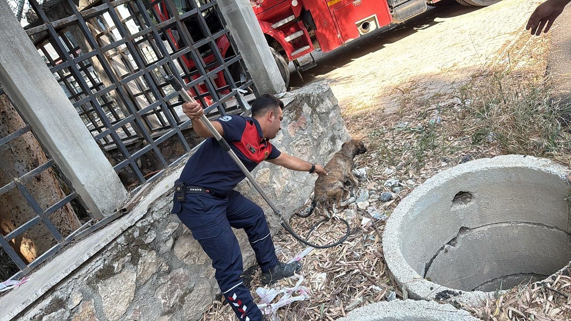 Antakya’da kuyuya düşen köpeği itfaiye kurtardı
