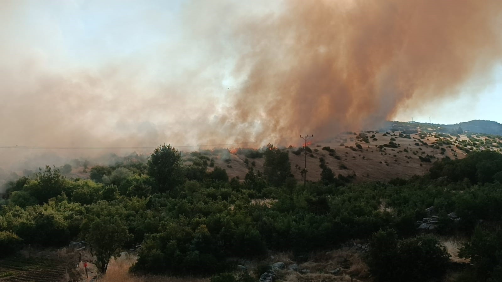 Diyarbakır’da örtü yangını