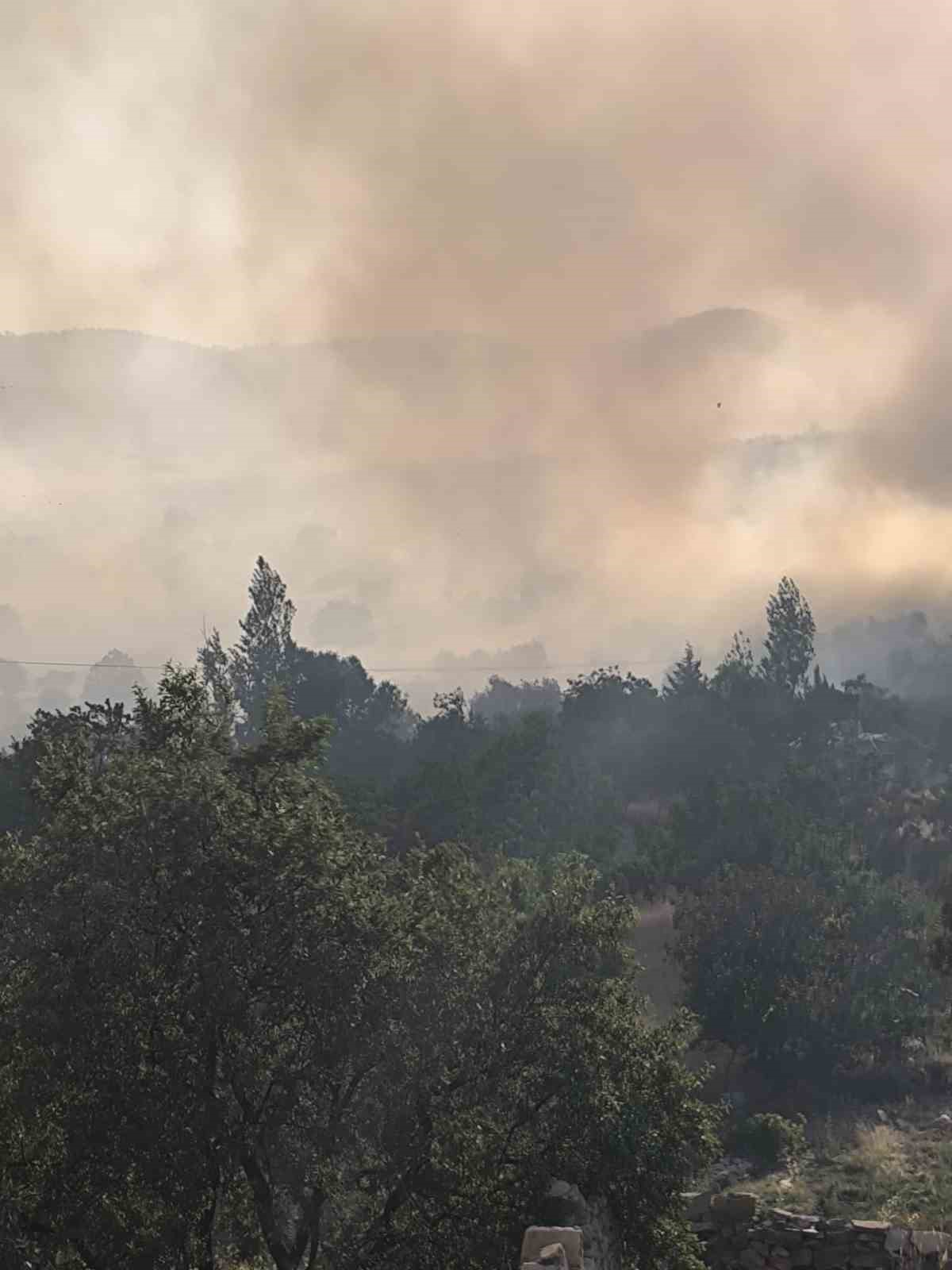 Diyarbakır&rsquo;da &ouml;rt&uuml; yangını
