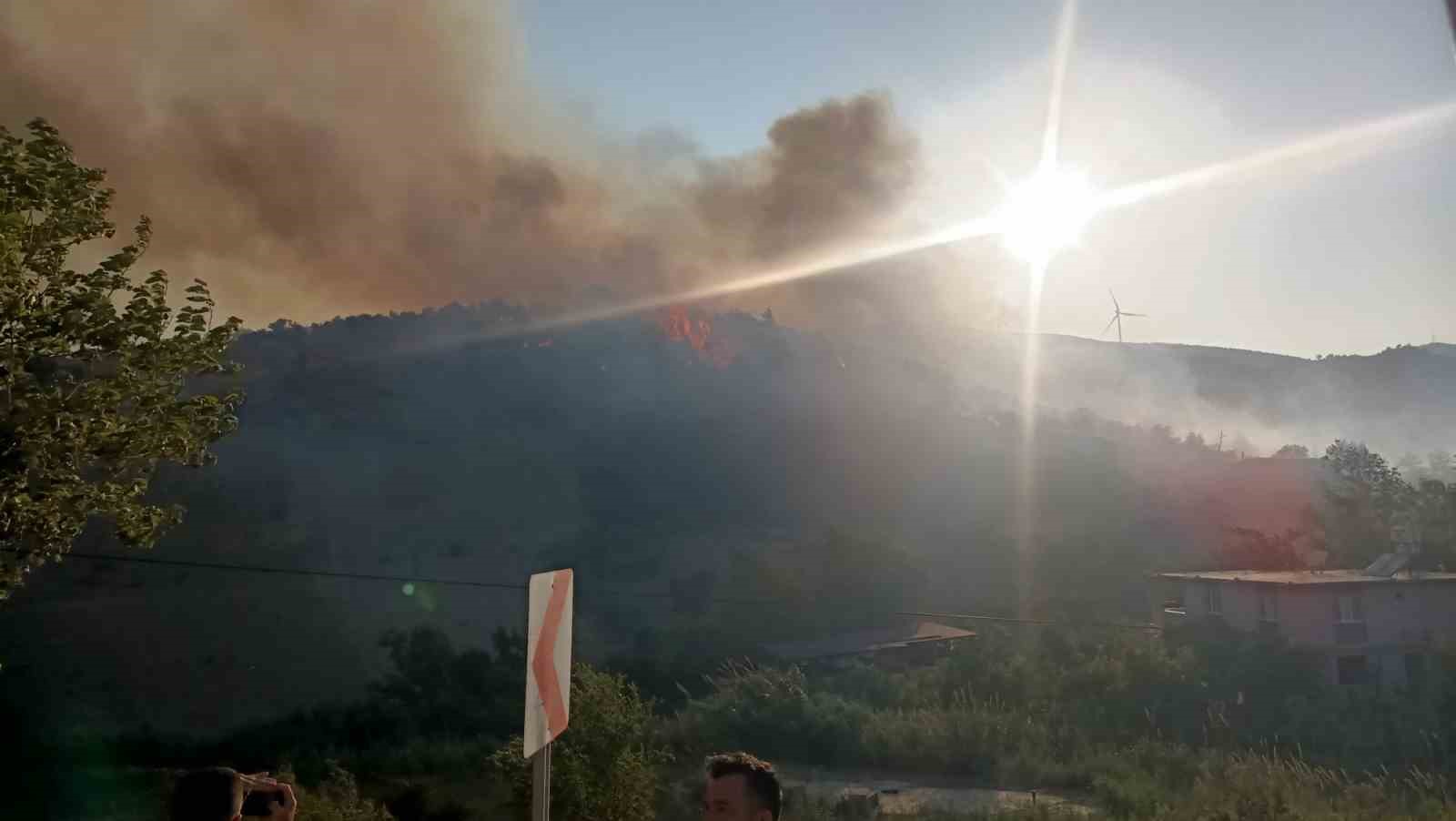 Hatay’da orman yangını