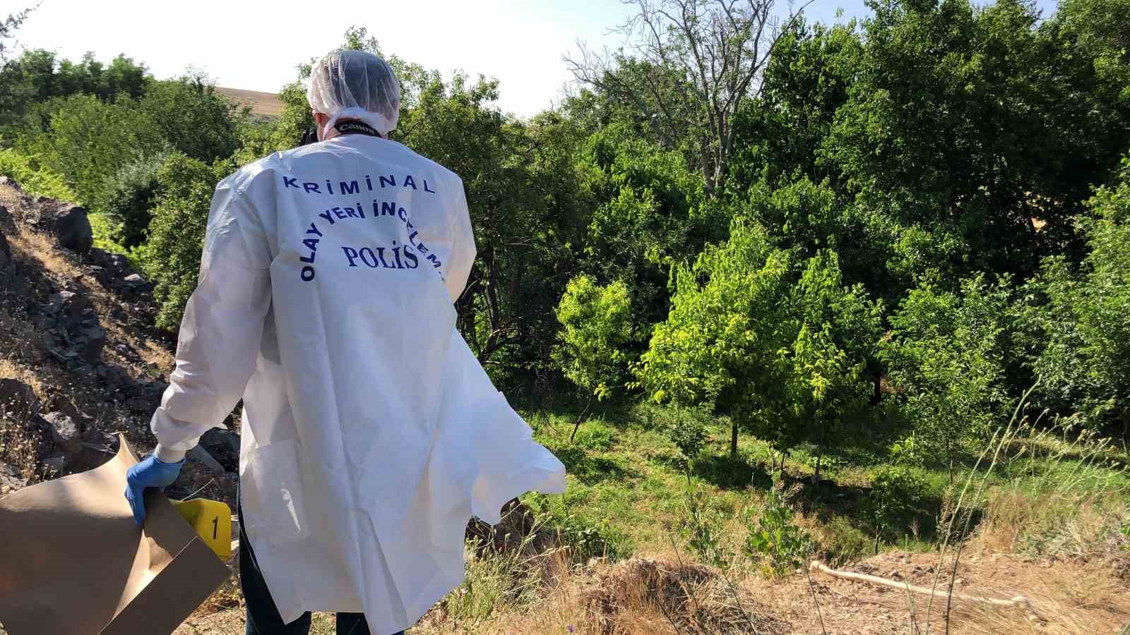 Elazığ’da ağaca asılı halde erkek cesedi bulundu