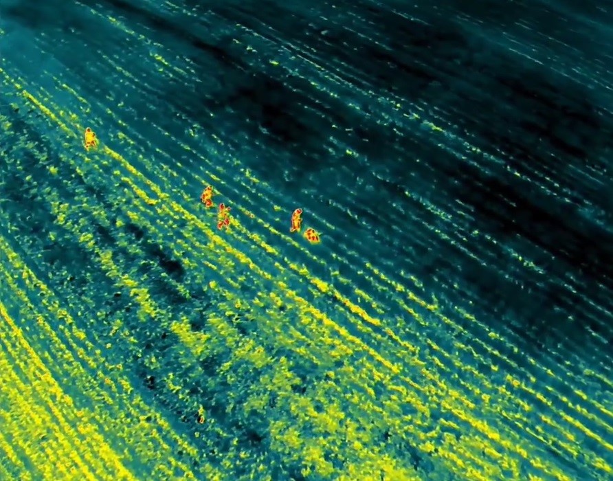 Zihinsel engelli kayıp vatandaş termal kamera yardımıyla bulundu
