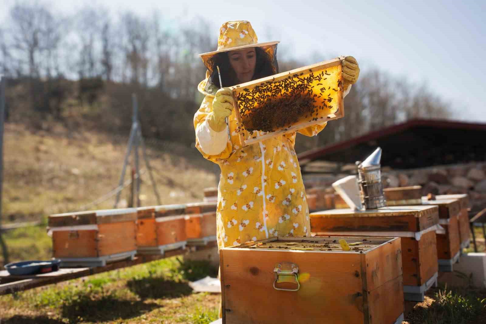 İznik&rsquo;ten Londra&rsquo;ya bal gibi başarı
