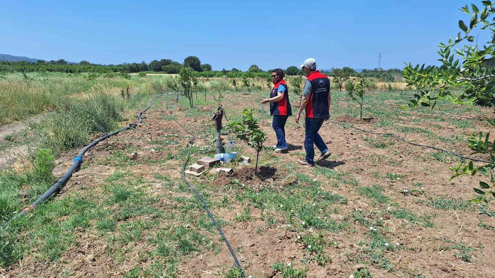 Çanakkale’de tarımsal sulama elektrik aboneliği olan tarım arazileri denetleniyor