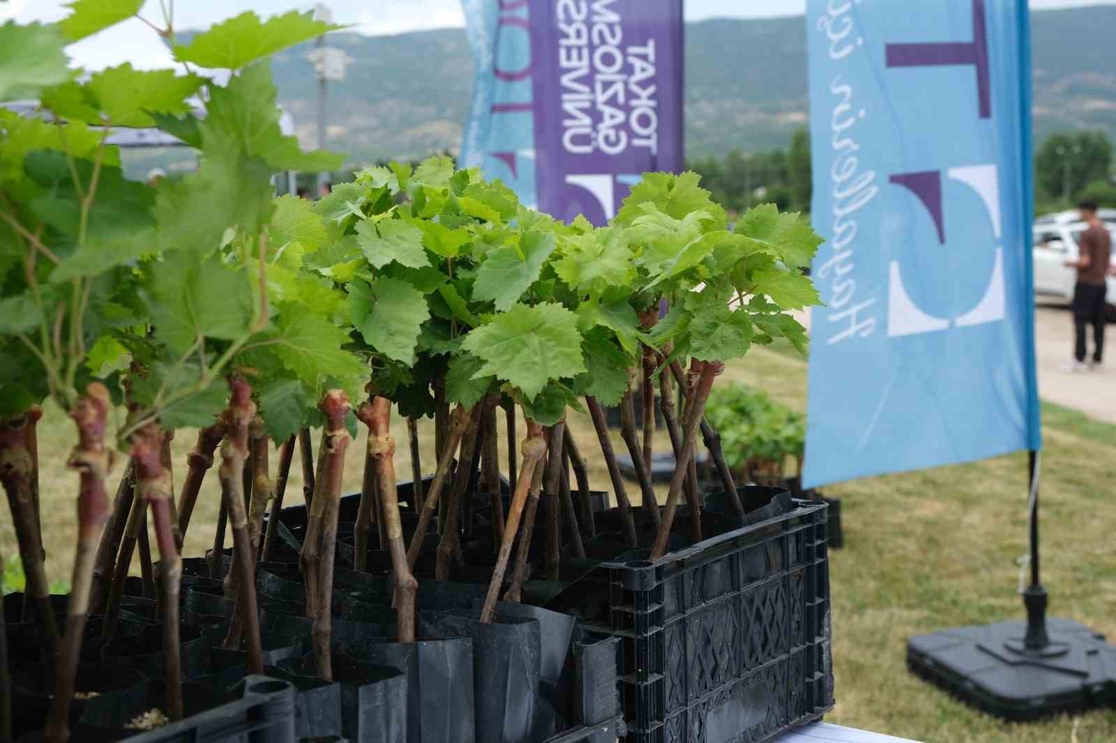 TOGÜ tüplü asma fidanlarını üreticiyle buluşturdu