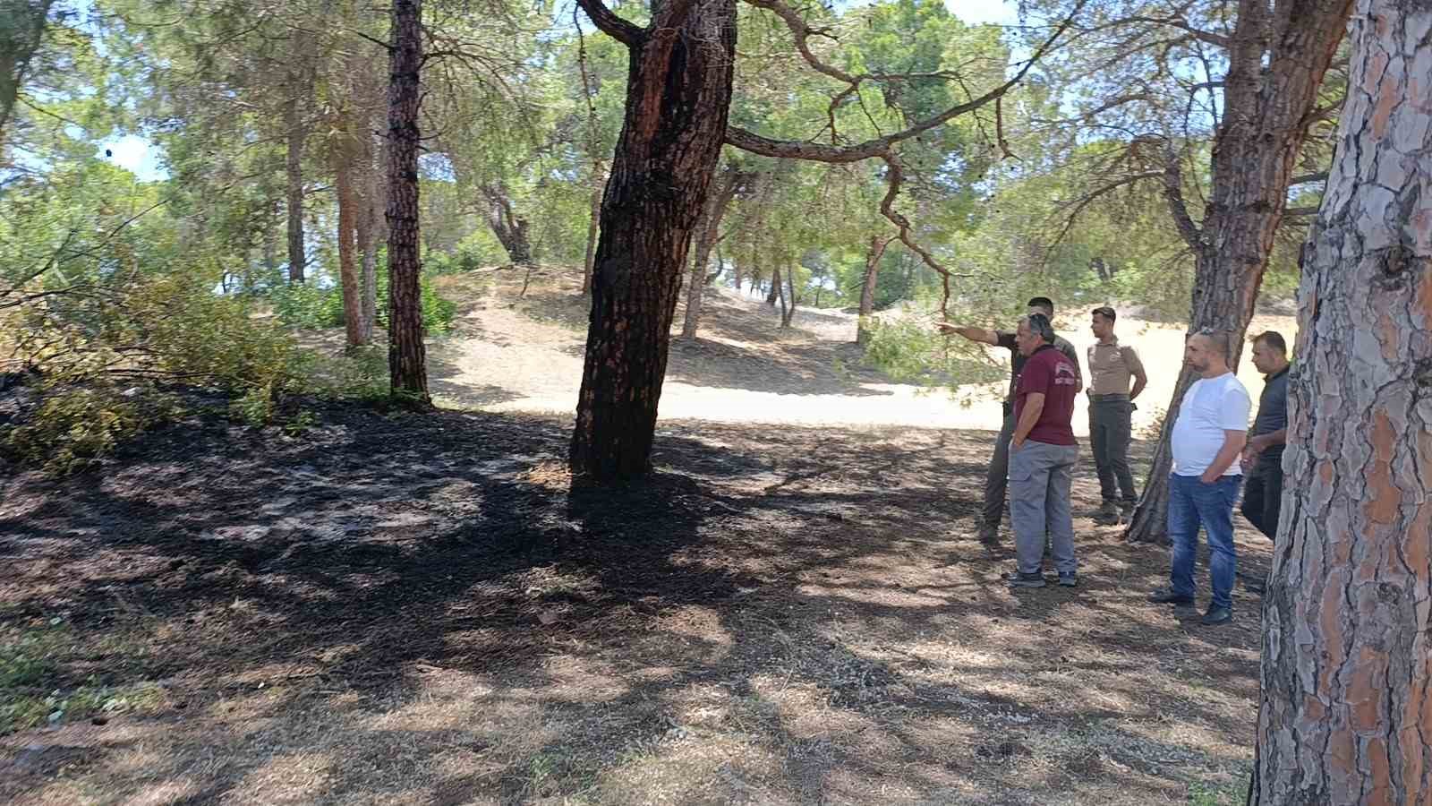 Manavgat&rsquo;ta &ccedil;alılık yangını b&uuml;y&uuml;meden s&ouml;nd&uuml;r&uuml;ld&uuml;
