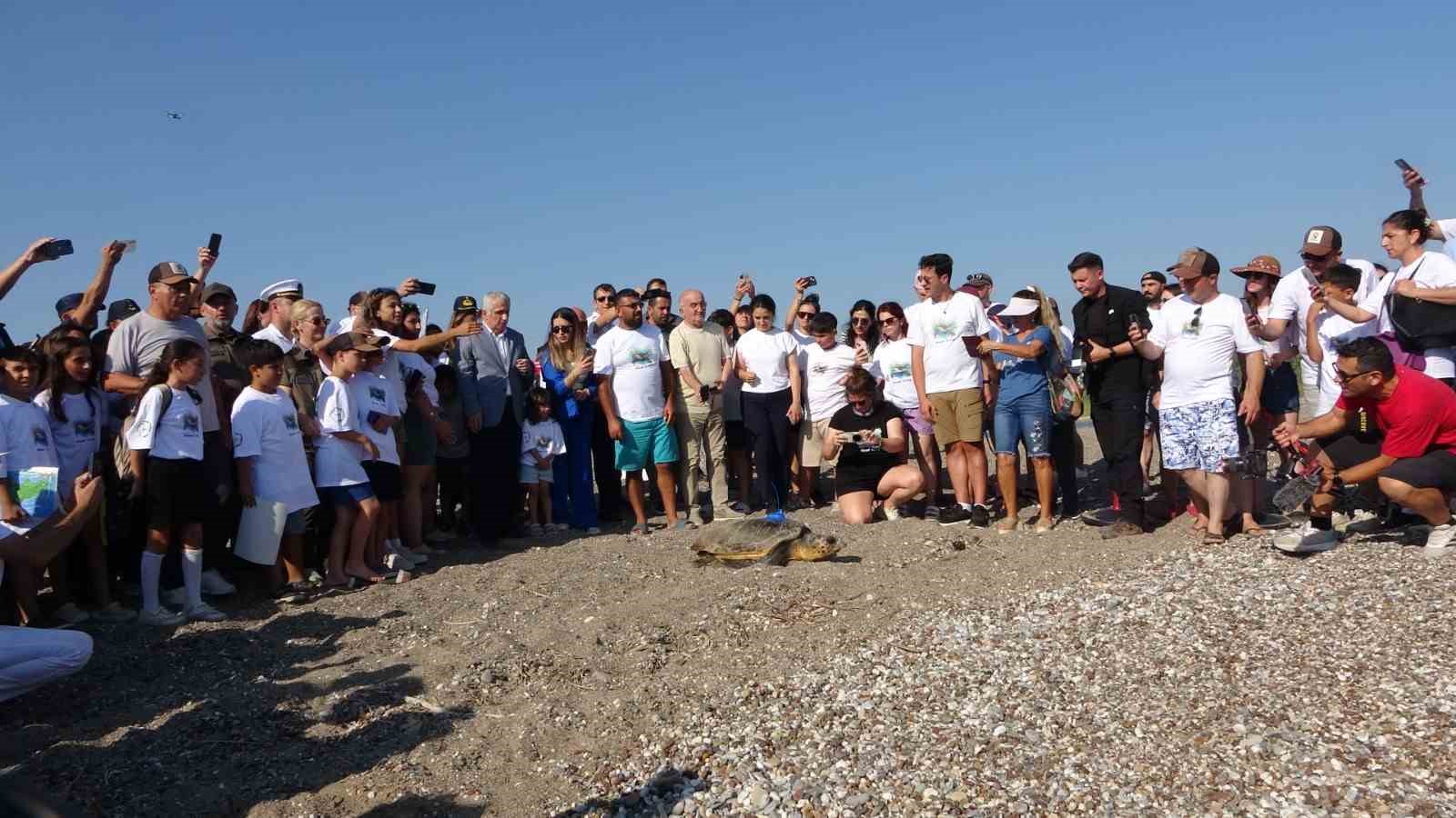 Antalya’da deniz kaplumbağaları çip takılarak denize uğurlandı