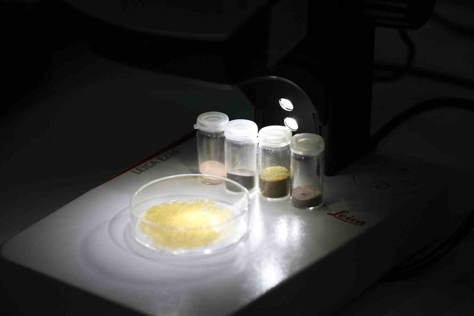 BTÜ’nün projesi hayvansal kaynaklara alternatif kaynak olacak