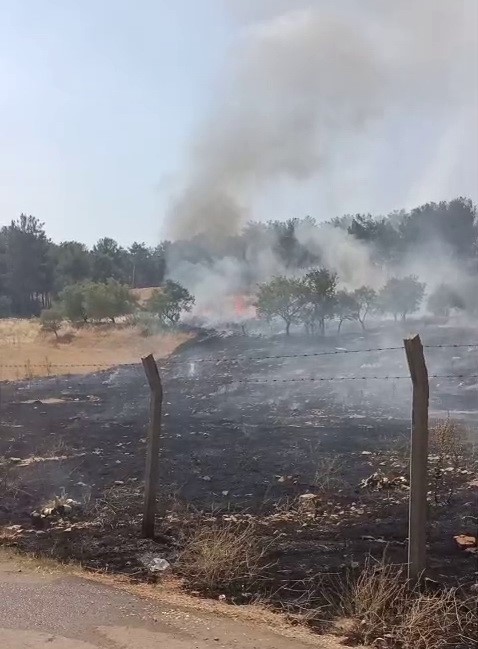 Ormanlık alanda çıkan yangın korkuttu