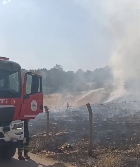 Ormanlık alanda çıkan yangın korkuttu
