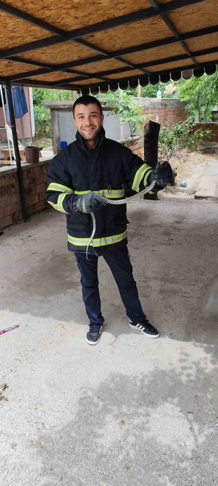 Eve giren yılan itfaiyeyi seferber etti.