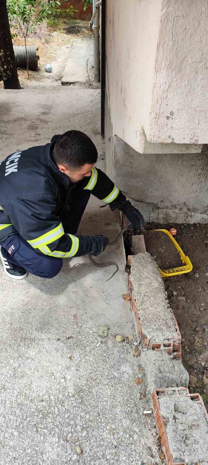 Eve giren yılan itfaiyeyi seferber etti.
