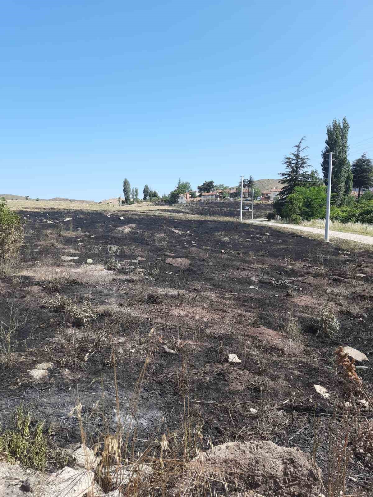 Torpilden çıkan yangında 15 dönümlük arazi kül oldu