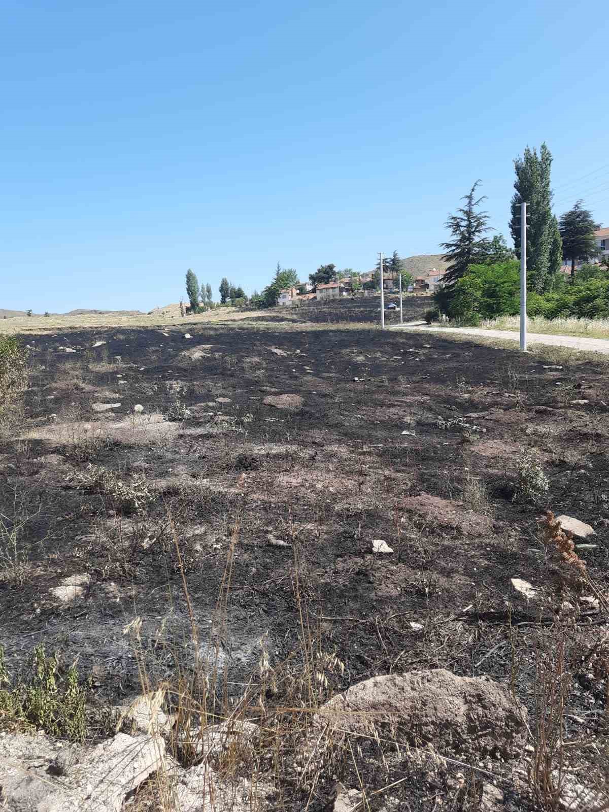 Torpilden çıkan yangında 15 dönümlük arazi kül oldu
