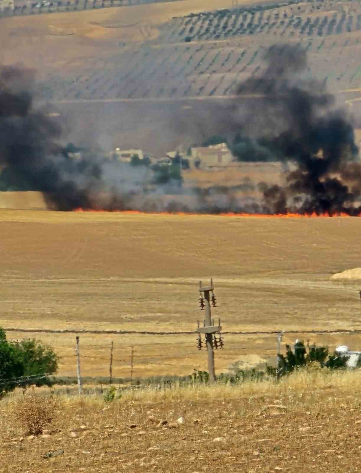 Kurtalan’da ekin yangını
