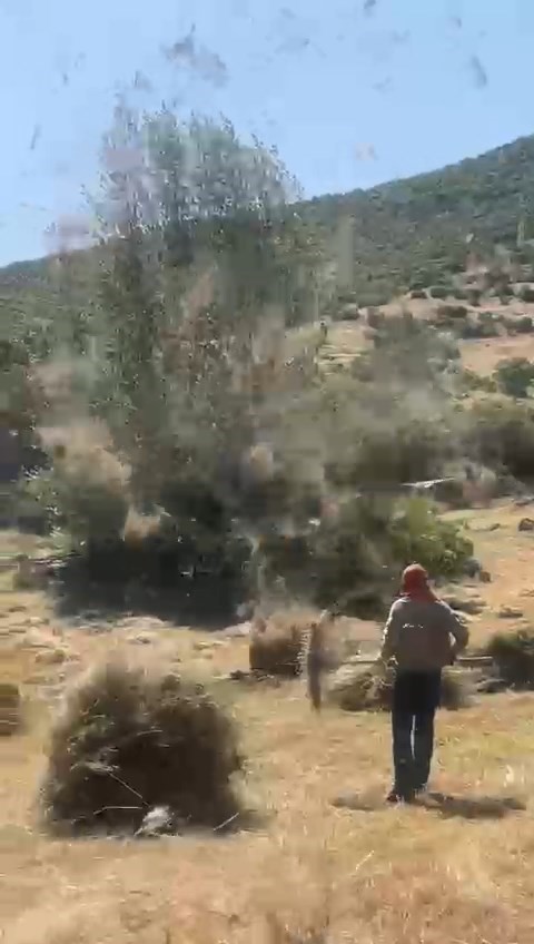Bingöl’de hortum otları uçurdu
