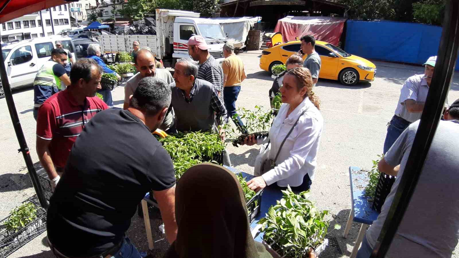 Mudurnu’da 108 bin fide dağıtıldı, çiftçiler akın etti
