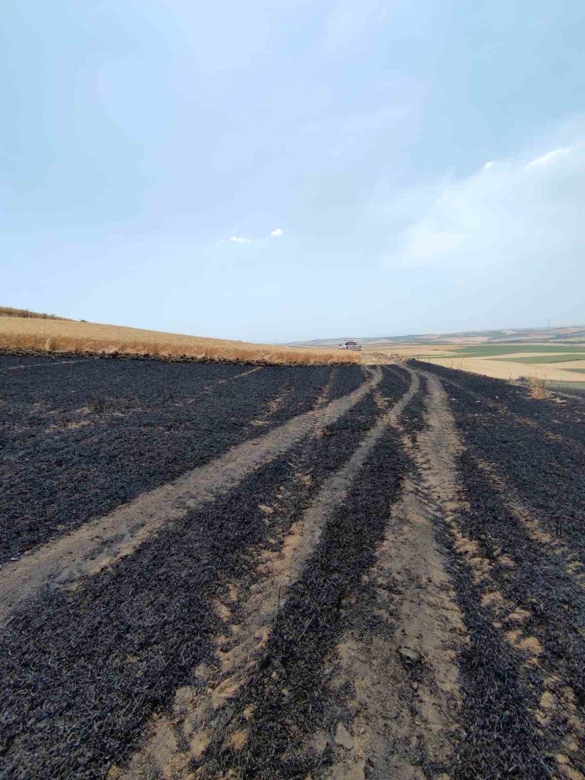 Tekirdağ’da 150 dönümde ekili buğday küle döndü
