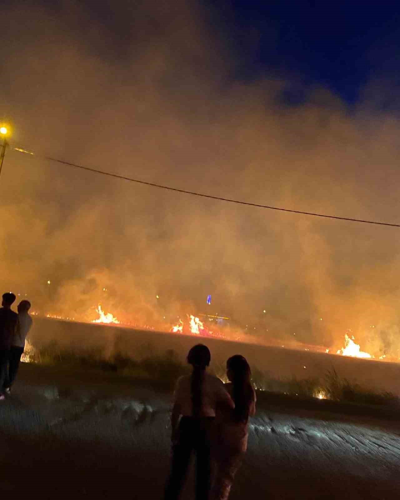 Diyarbakır’da 40 dönüm buğday yangında küle döndü