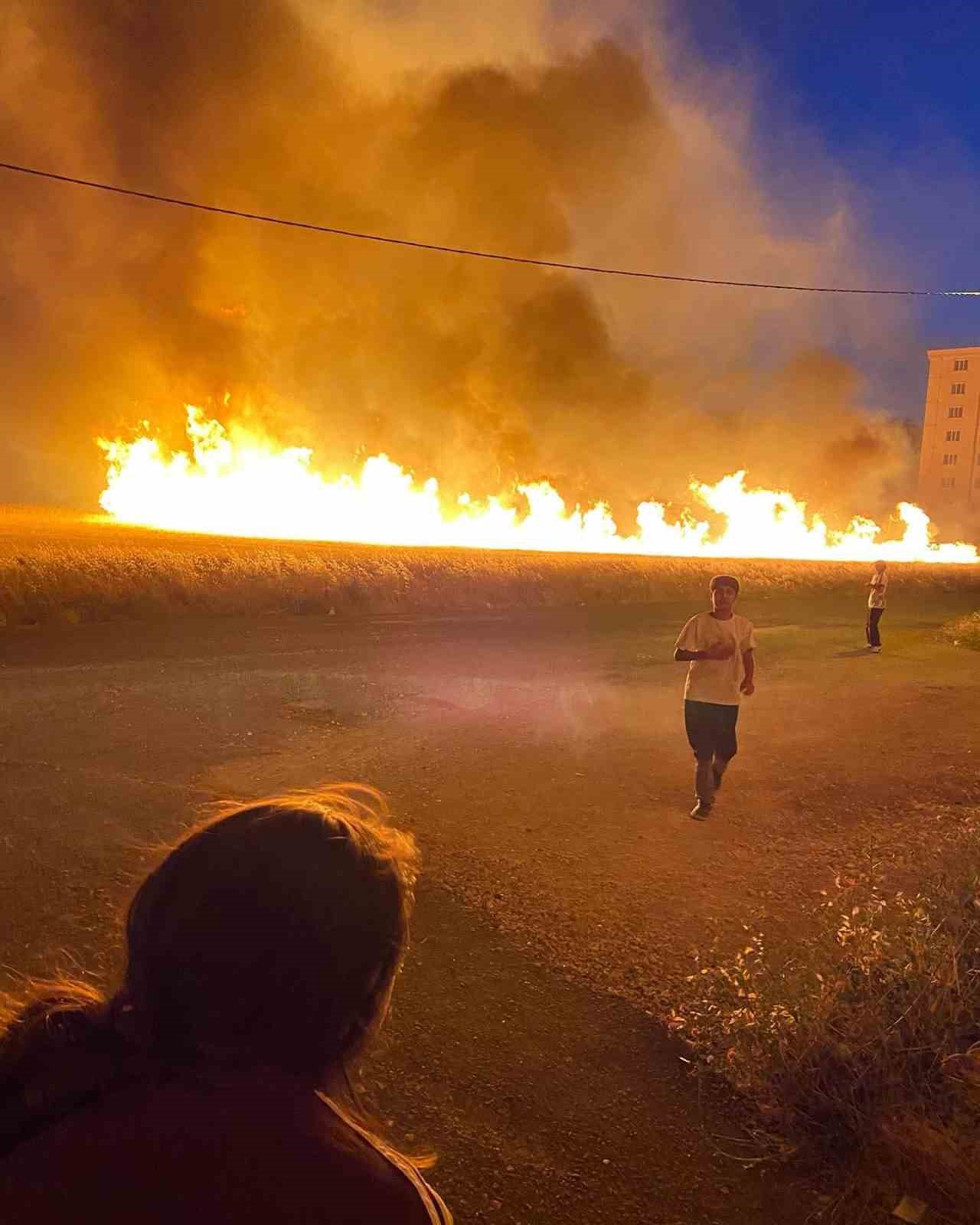 Diyarbakır&rsquo;da 40 d&ouml;n&uuml;m buğday yangında k&uuml;le d&ouml;nd&uuml;
