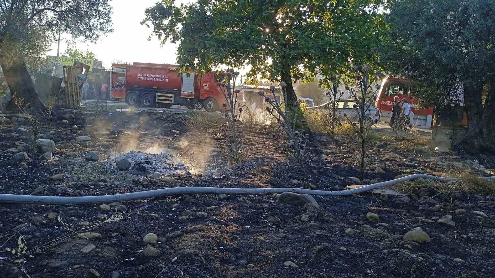 Edremit’te yangında 123 zeytin ağacı alev alev yandı