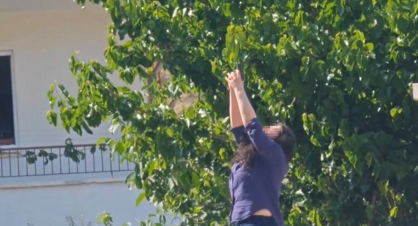 Önce erkek arkadaşının ofisini kurşunladı, sonra intihara kalkıştı