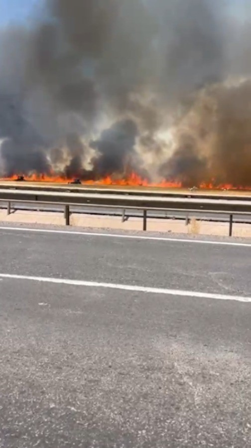 Şanlıurfa’da 100 dönümlük buğday tarlası küle döndü