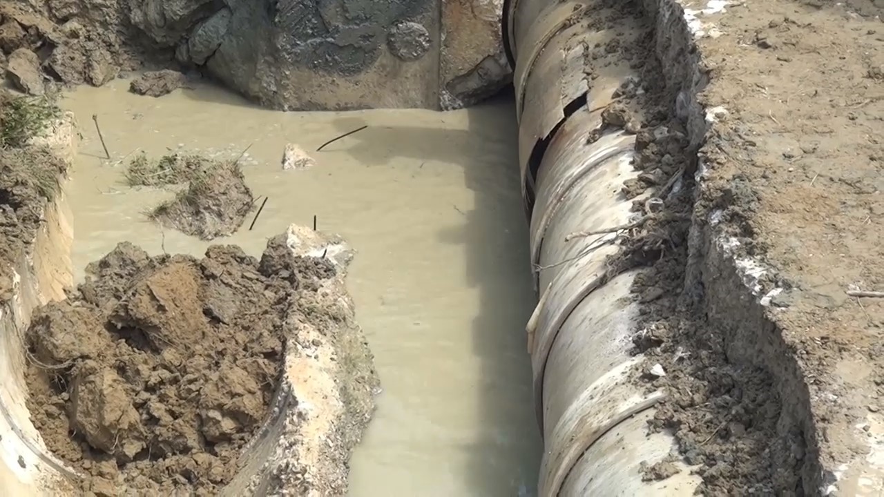 Sinop Karasu Ovası&rsquo;nda sulama hattı alarm veriyor: "&Ccedil;eltikler kuruyacak" uyarısı
