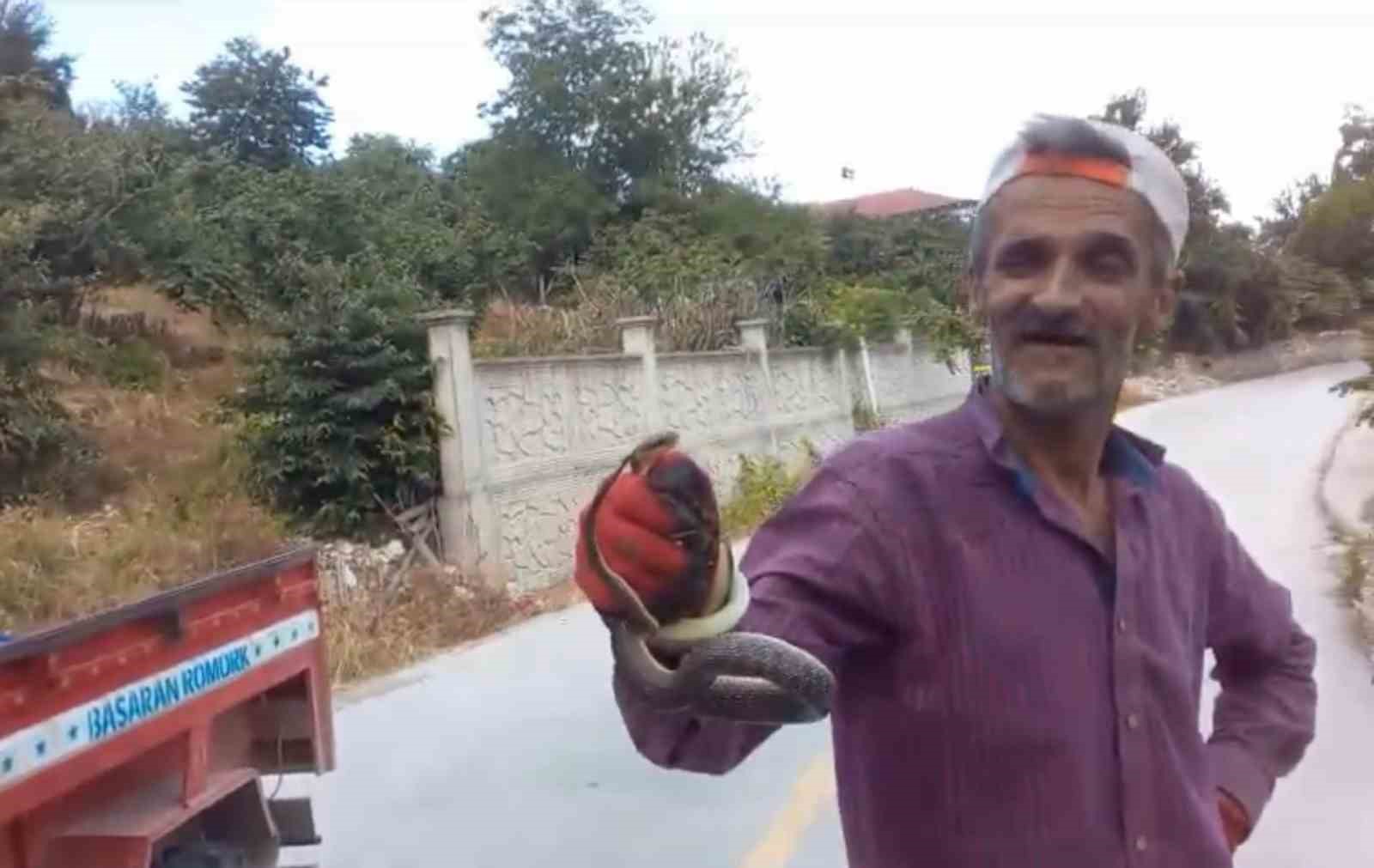 Yılanları elleriyle yakaladı
