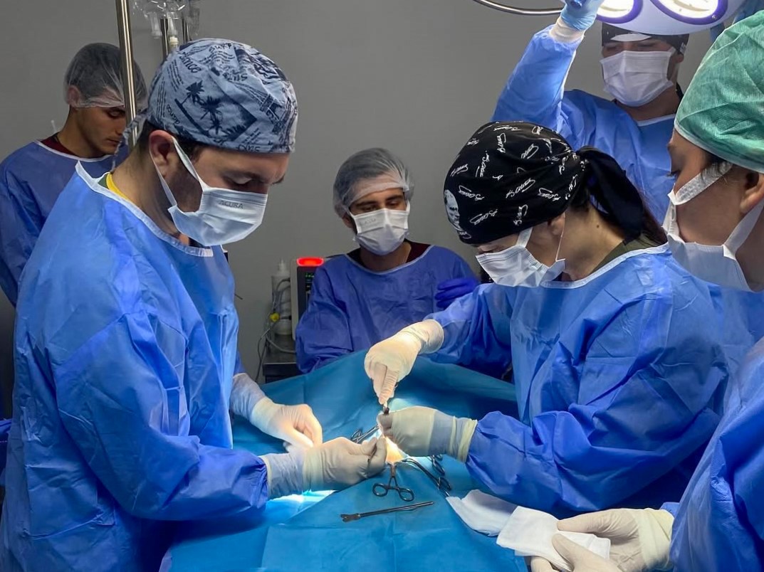 Kastamonu &Uuml;niversitesi&rsquo;nde 5 ayda 334 hayvan tedavi edildi
