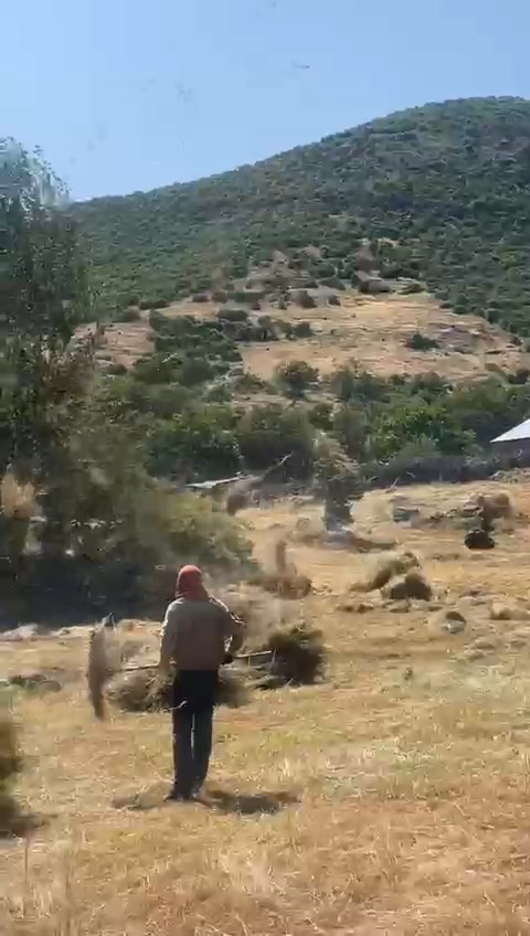 Bingöl’de hortum otları uçurdu