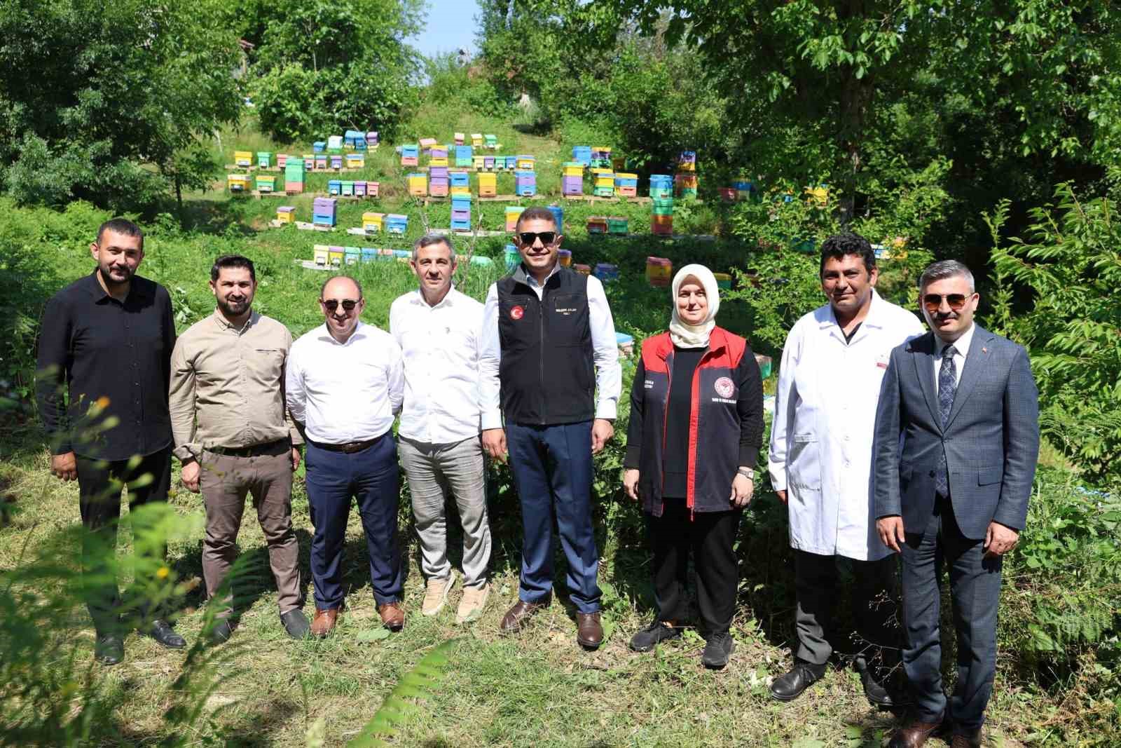 20 bin Samurai arısı salındı
