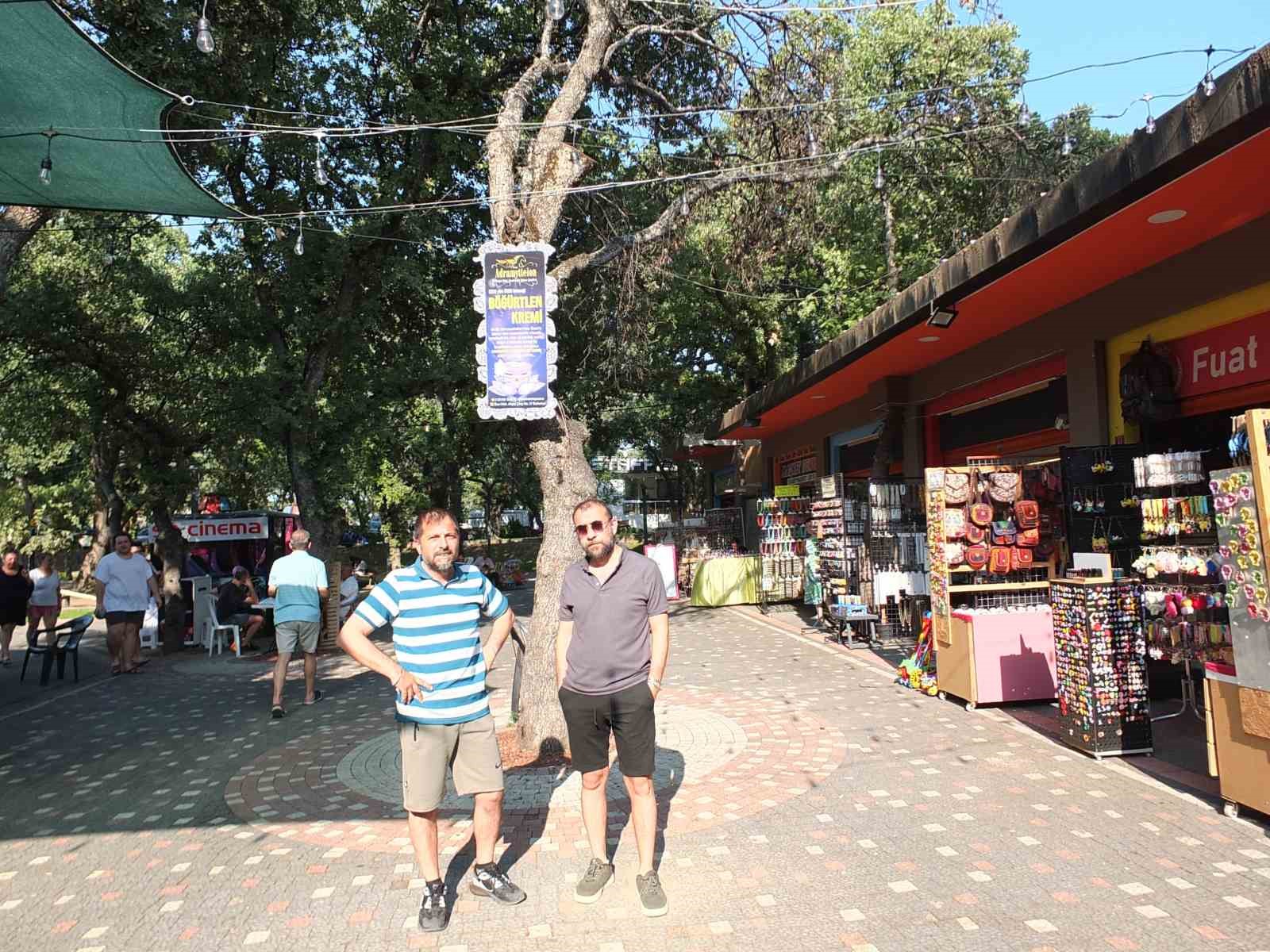 Burhaniye&rsquo; de kuruyan ağa&ccedil;lar tehlike sa&ccedil;ıyor
