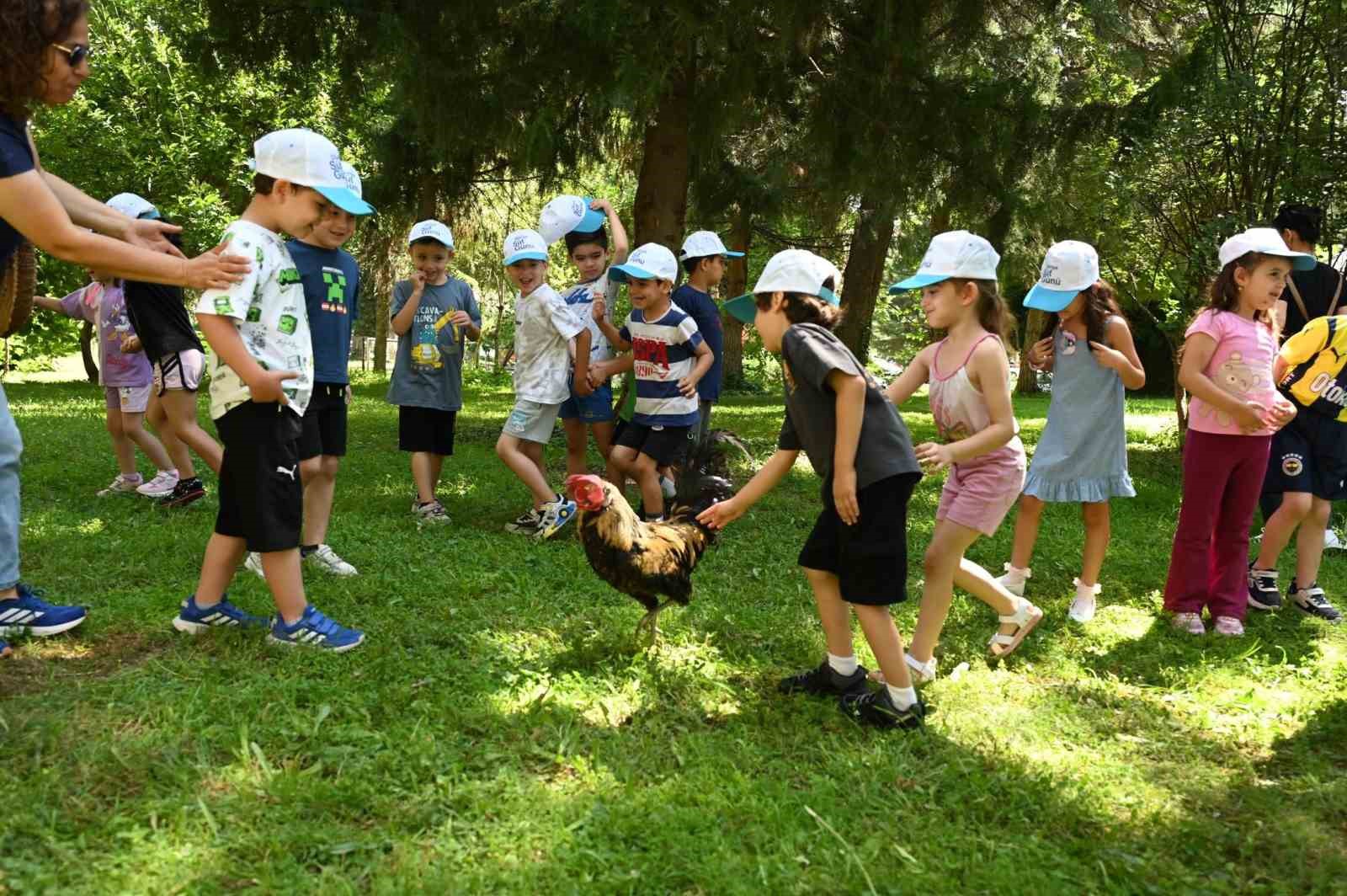 Minik eller Denizli Horozu üretimini öğrendi