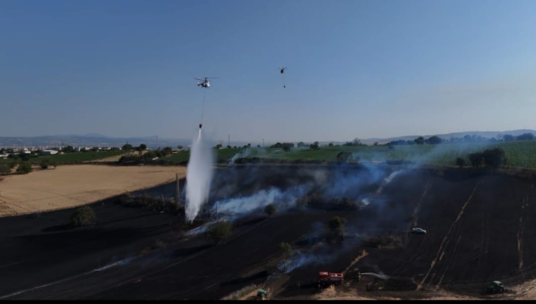 &Ccedil;anakkale&rsquo;de tarım arazisinde &ccedil;ıkan yangında 50 d&ouml;n&uuml;m alan zarar g&ouml;rd&uuml;
