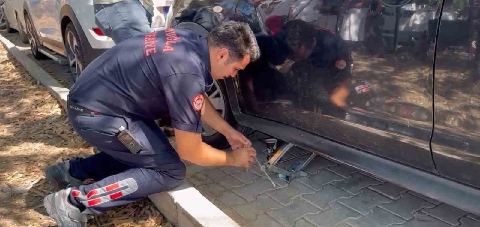 Fethiye&rsquo;de otomobilde sıkışan yavru kedi kurtarıldı
