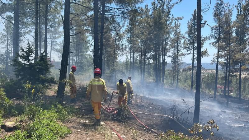 Mersin Gülnar’da orman yangını söndürüldü