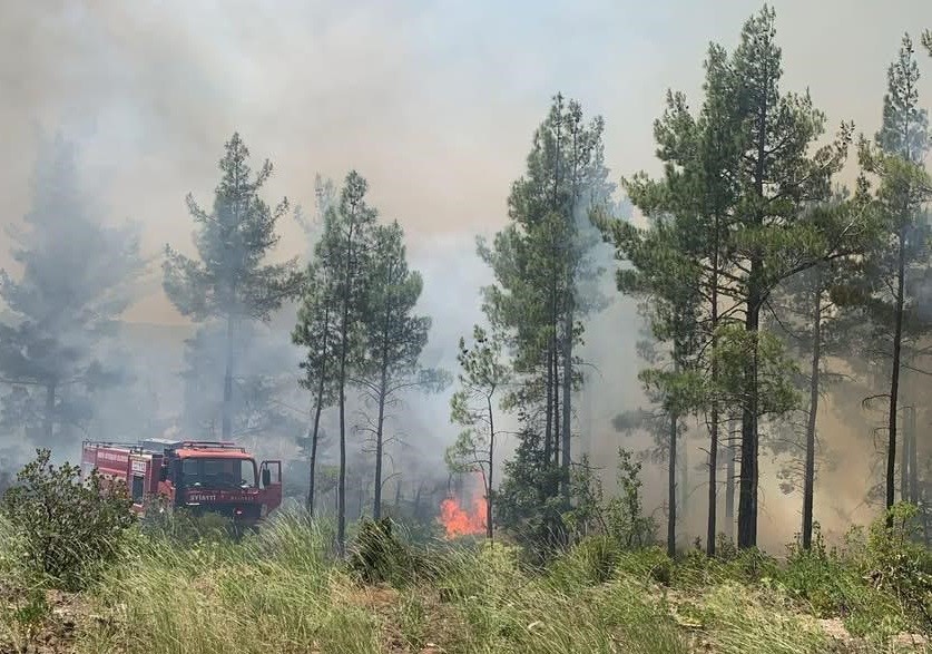 Mersin G&uuml;lnar&rsquo;da orman yangını s&ouml;nd&uuml;r&uuml;ld&uuml;
