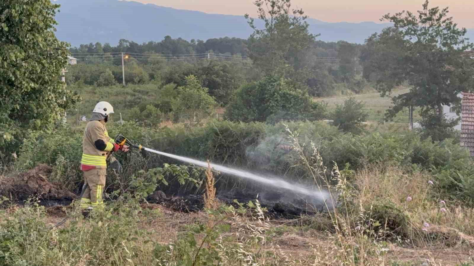 Yol kenarına atılan izmarit, otları yaktı