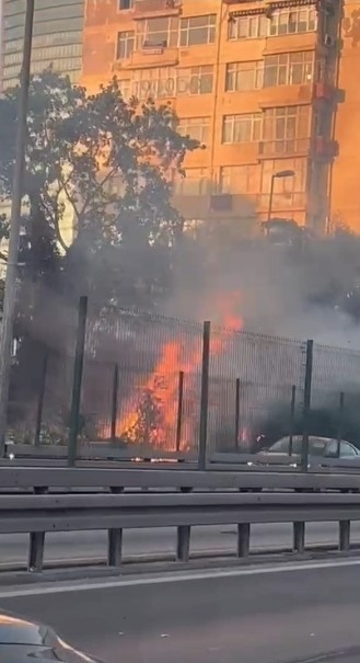 Şişli’de ağaçlık alanda çıkan yangın korkuttu
