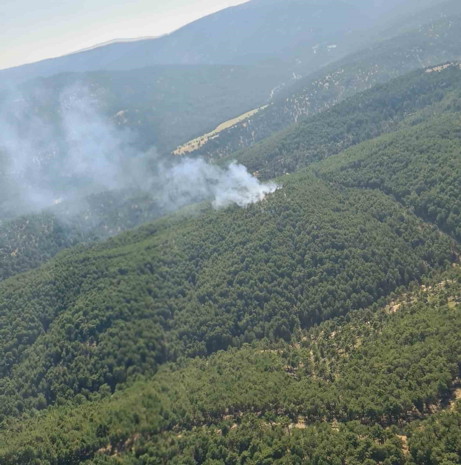 &Ccedil;ivril&rsquo;deki orman yangınında 2 hektar alan zarar g&ouml;rd&uuml;

