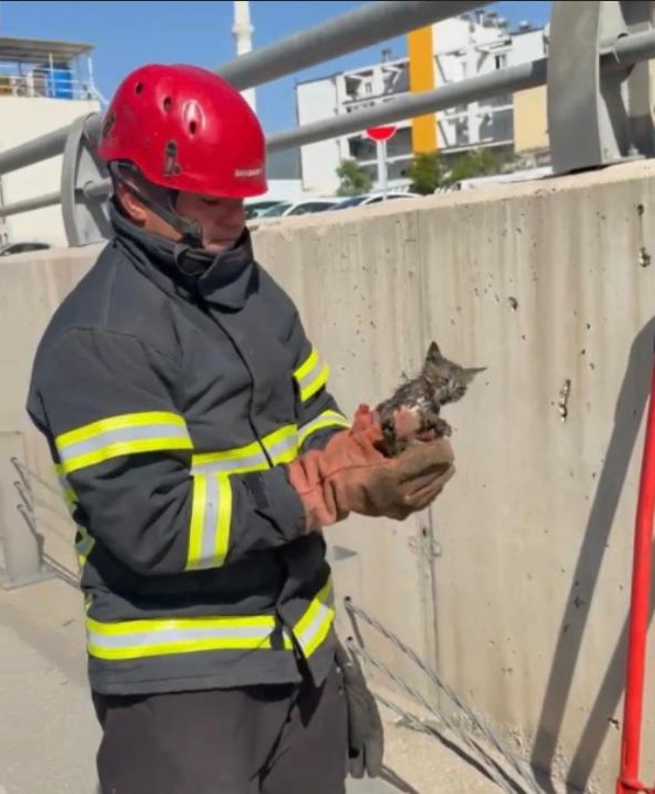 Alt geçitteki refüj demirinin içinde sıkışan yavru kedi kurtarıldı
