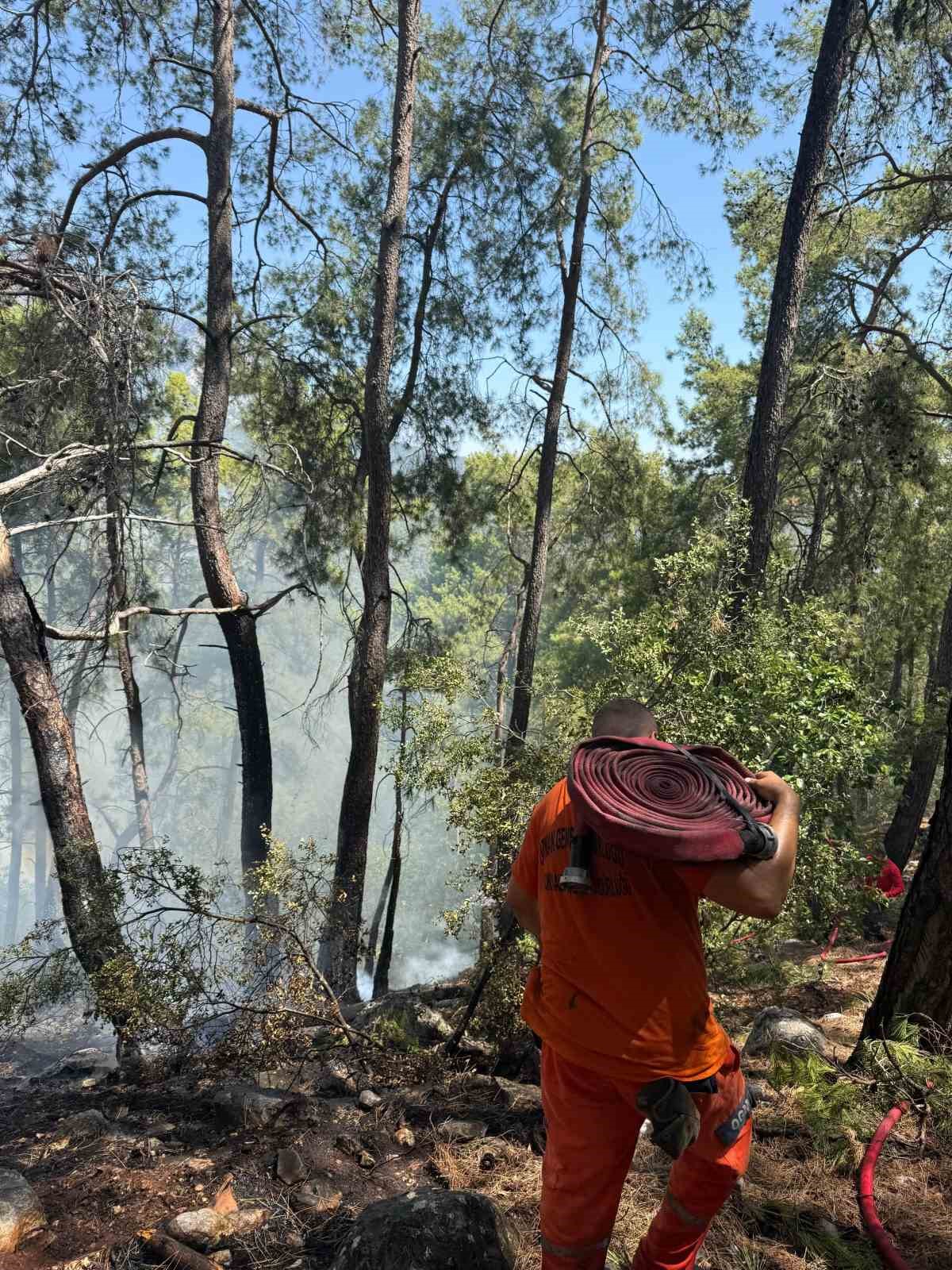 Kemer’de orman yangını
