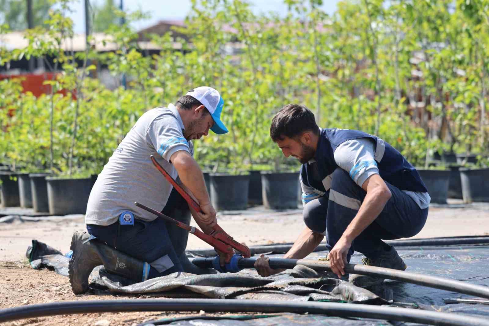 Bu fidanlık Kocaeli’yi yeşillendiriyor