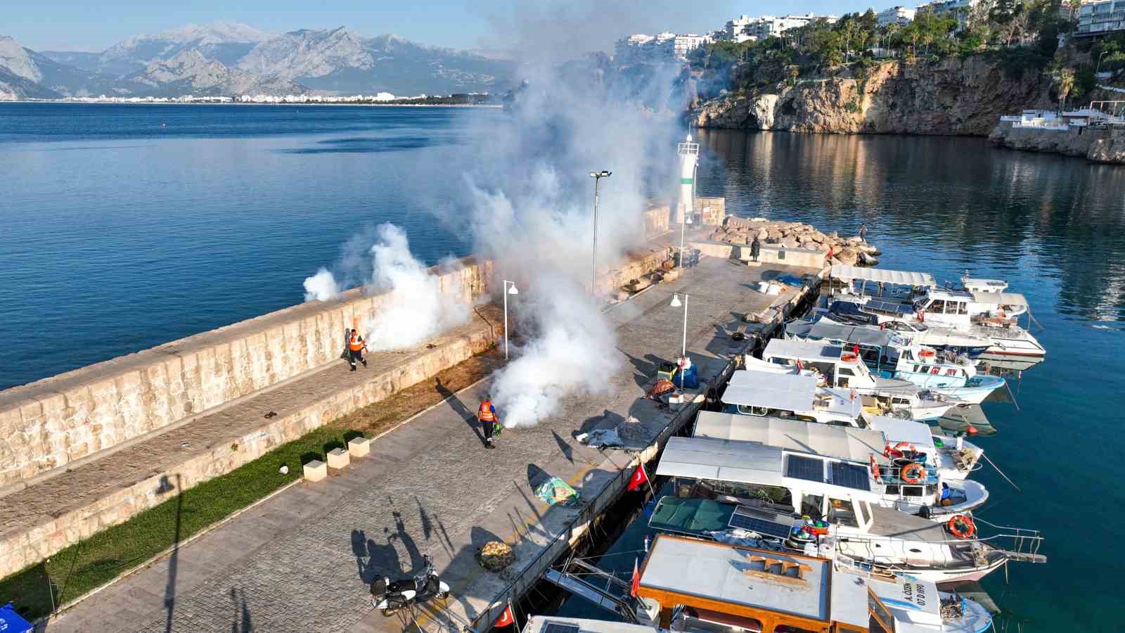 Antalya&rsquo;da denizden ve karadan haşerelerle m&uuml;cadele başlatıldı
