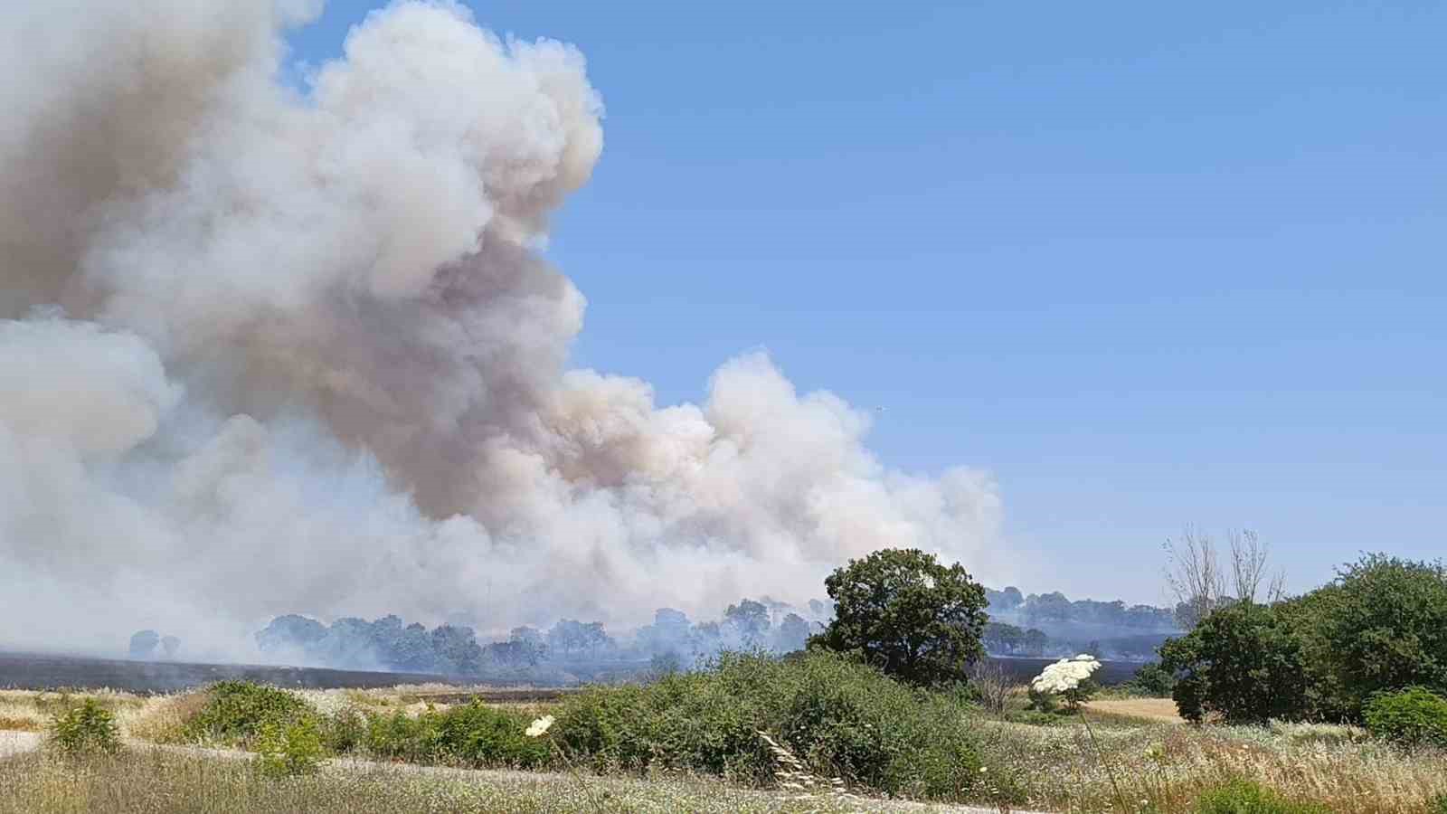 Çan’da tarım arazisinde yangın çıktı
