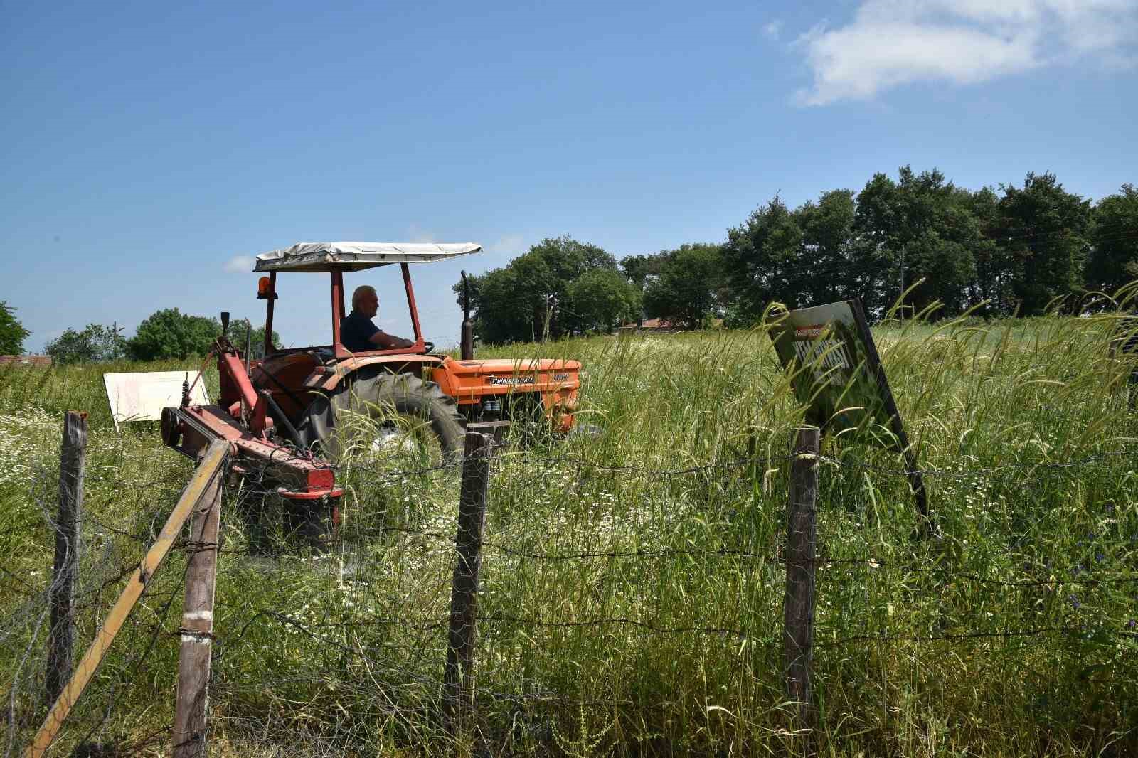 Atakum&rsquo;da hayvancılık yapan ailelere yem bitkisi desteği
