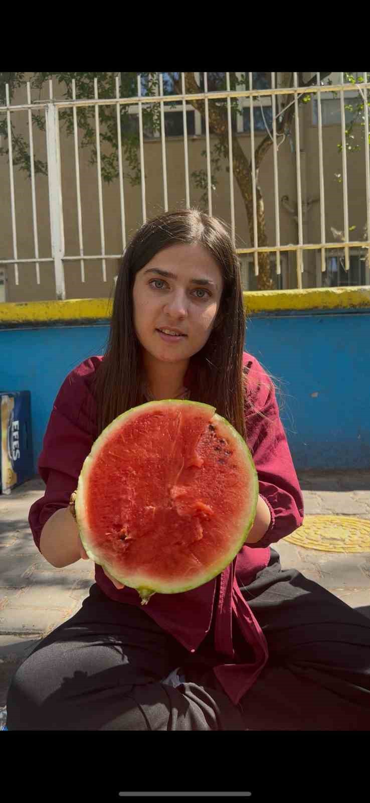 Aydın’da yapay zeka testi, yapay zeka karpuz seçiminde sınıfta kaldı

